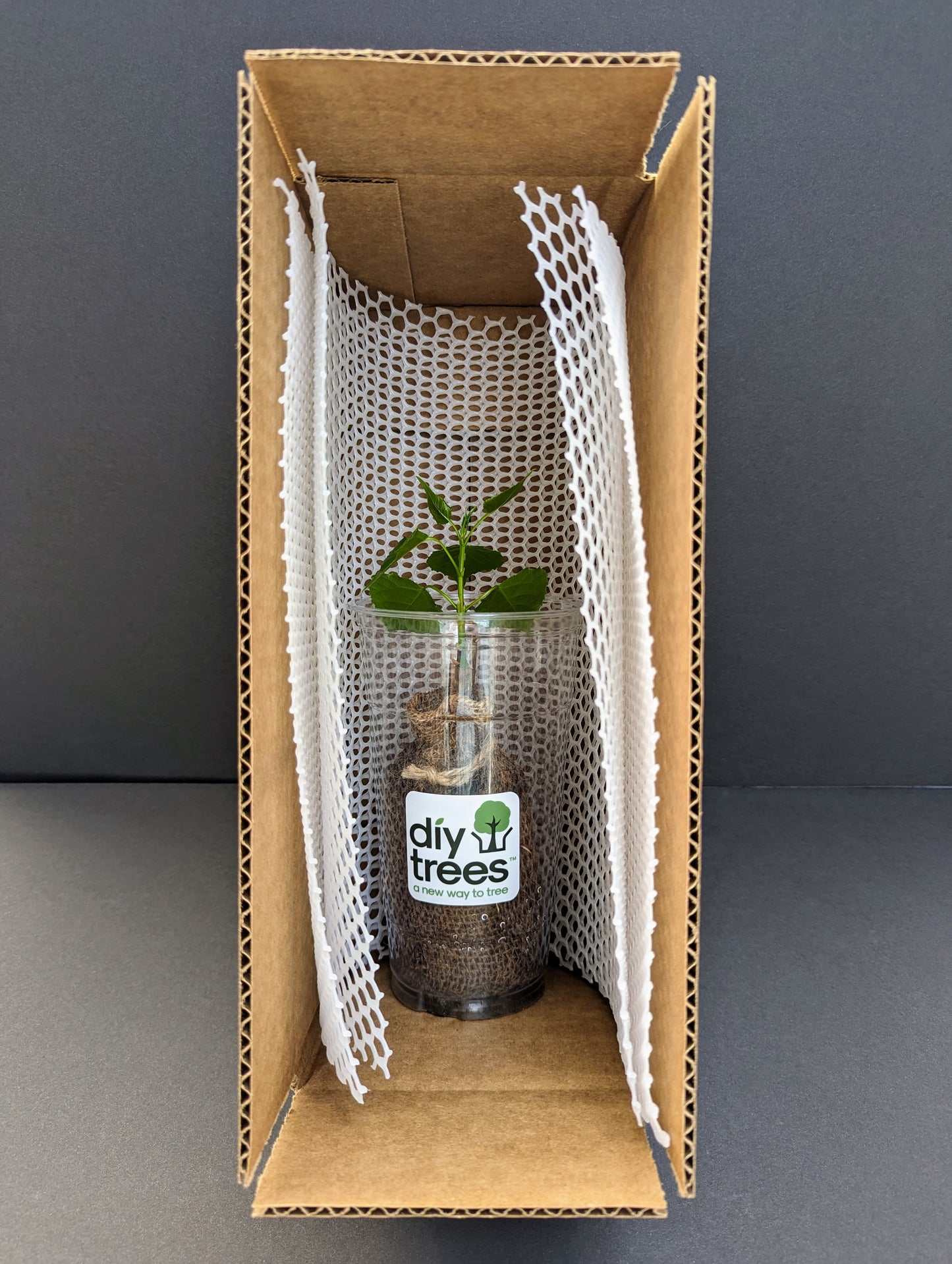 TurboTree in a box ready to ship