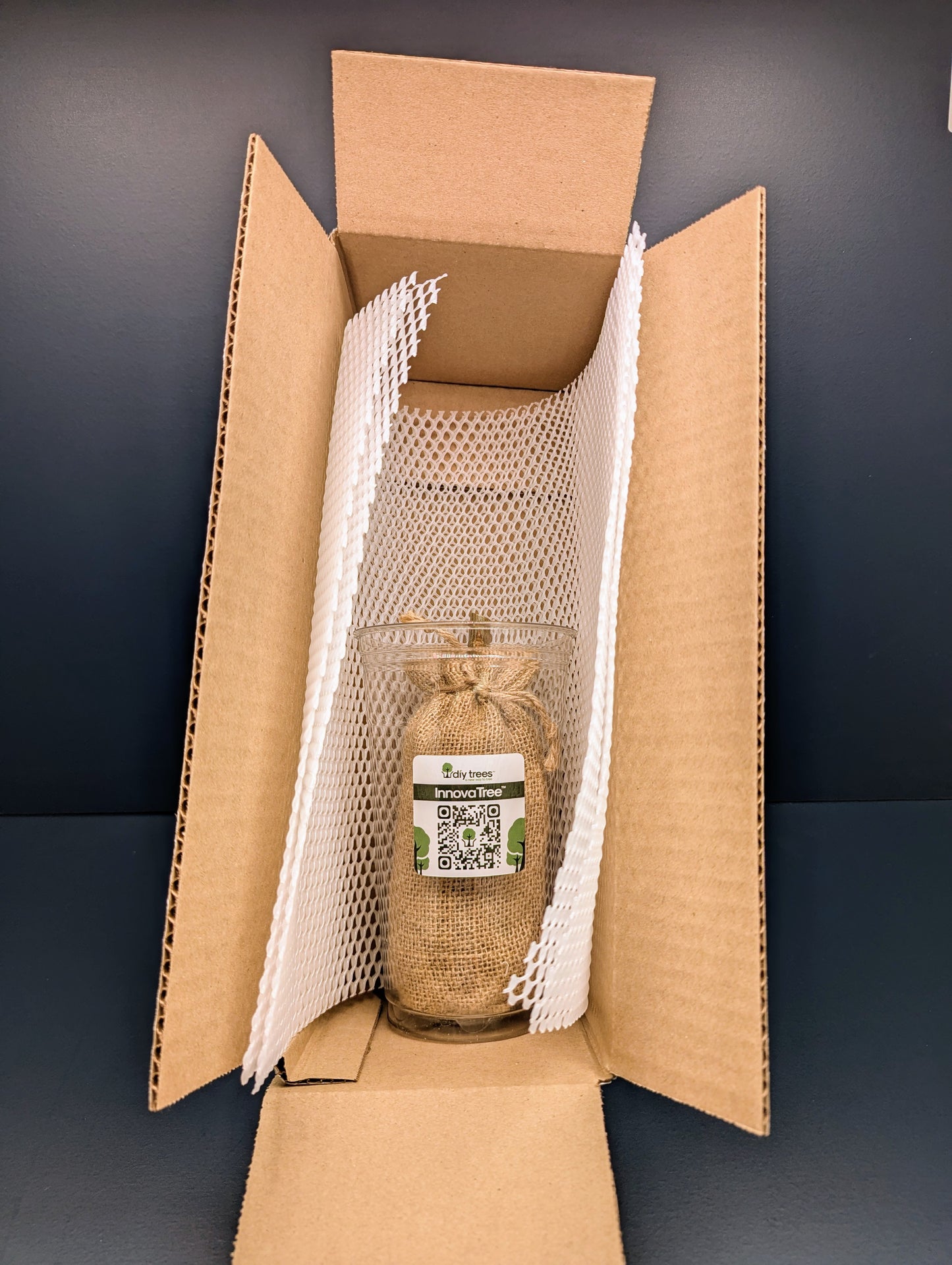 InnovaTree | Unsprouted | DIY Trees Kit