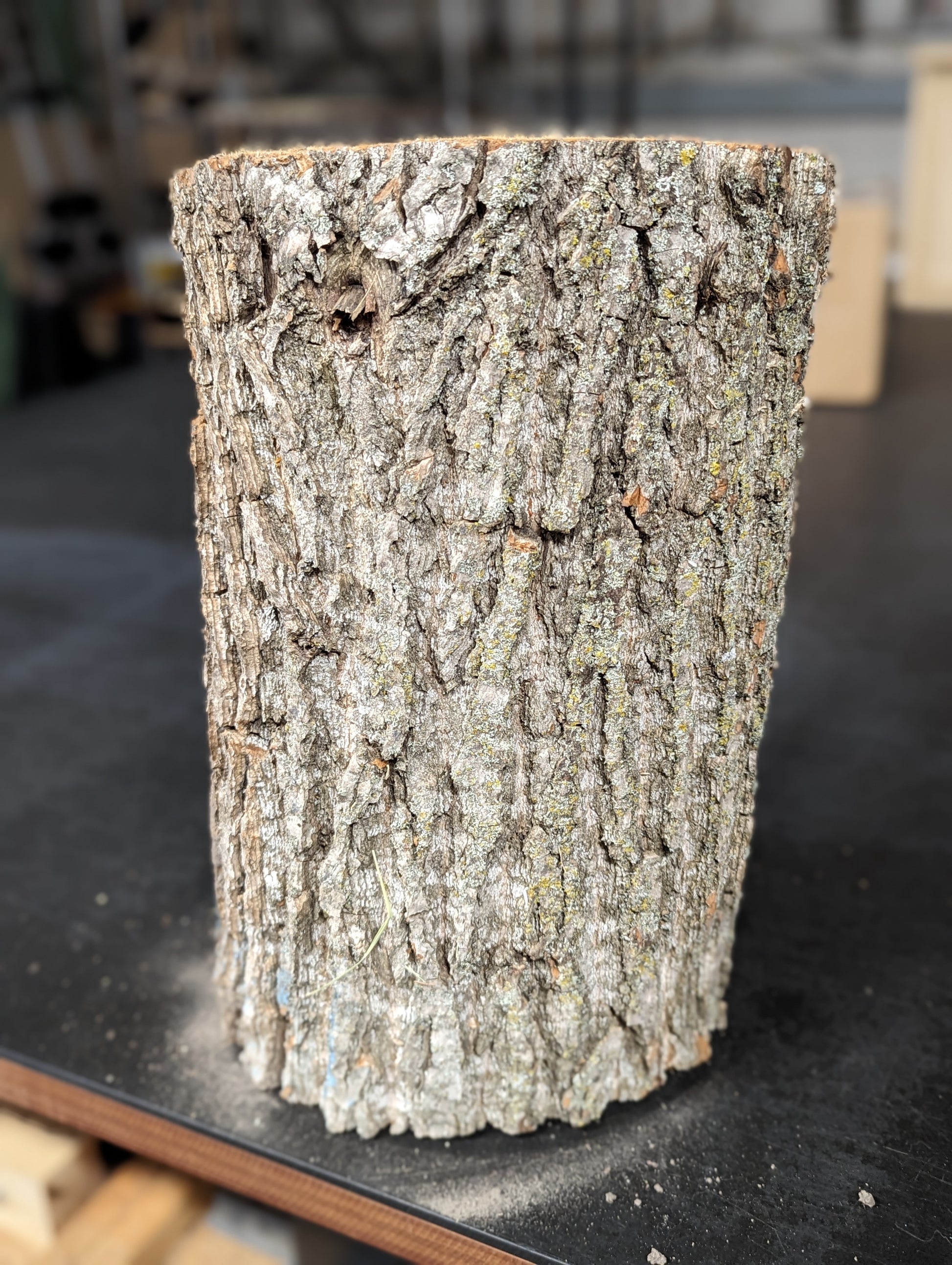 Image of the InnovaTree Trunk