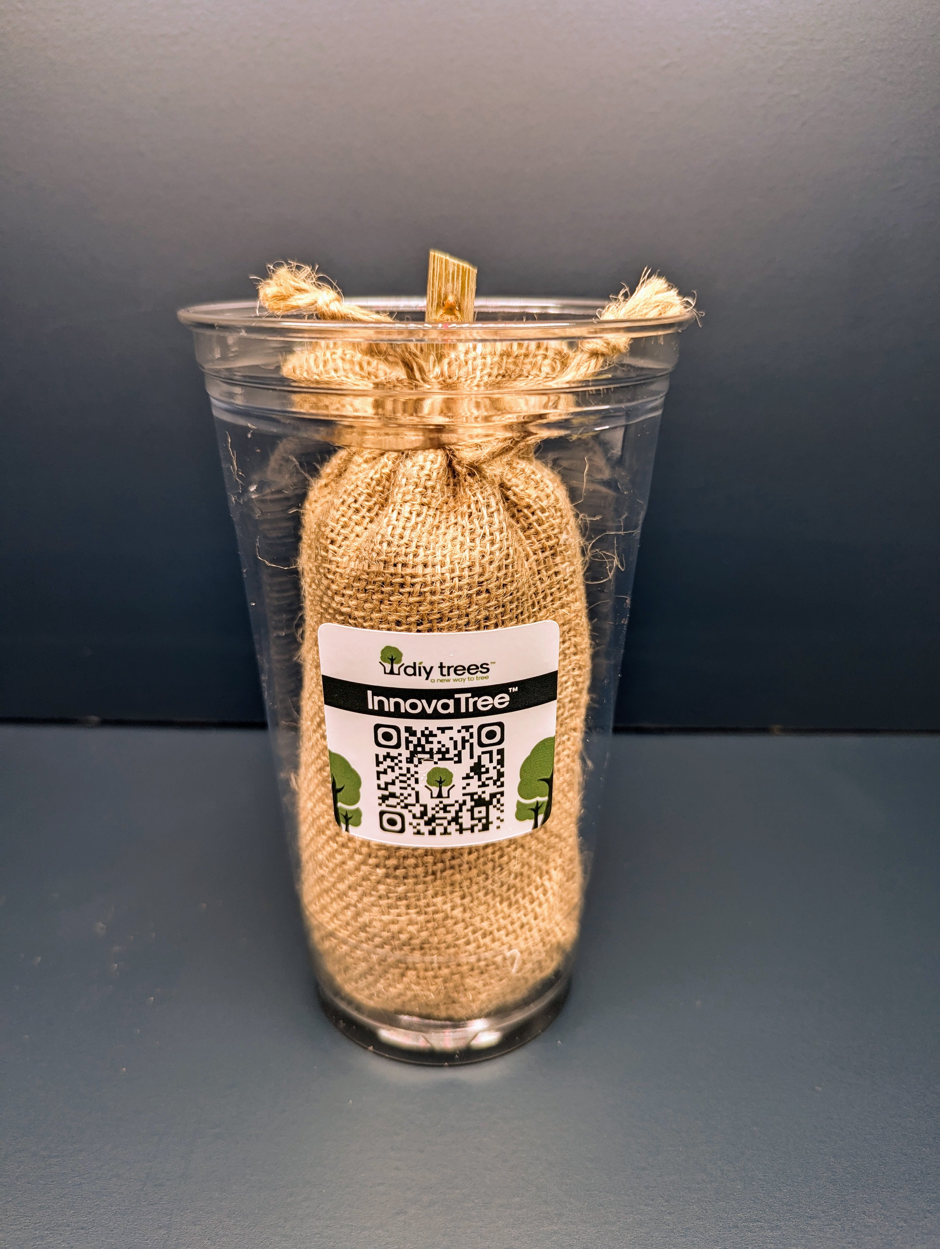 Tree Sample Kit InnovaTree Kit - Fast-Growing Hybrid Poplar Tree | DIY Trees